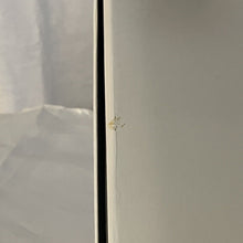 Load image into Gallery viewer, Fashion Royalty 2010 APHRODISIAC & ANDROGYNY Avantguards Mini Clones Giftset #84001