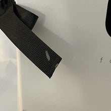 Load image into Gallery viewer, Fashion Royalty 2010 APHRODISIAC & ANDROGYNY Avantguards Mini Clones Giftset #84001