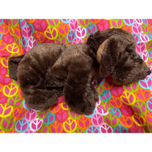 Load image into Gallery viewer, Ganz Webkinz Chocolate Lab HM138 No Codes