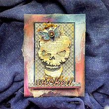 Load image into Gallery viewer, Sizzix Framelits Die Set Entomology by Tim Holtz (14-Pack), Multicolor