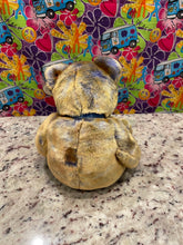 Load image into Gallery viewer, Ty Beanie Buddy 2000 Collector Clubby III Bear (Retired)