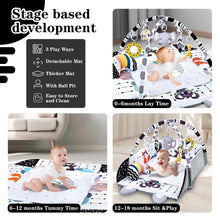 Load image into Gallery viewer, TFDER Baby Gym Play Mat, 8-in-1 Tummy Time Mat & Activity Gym, Washable Ball Pit, Infant Play Mat with Detachable Toys for Sensory Exploration and Motor Skill Development
