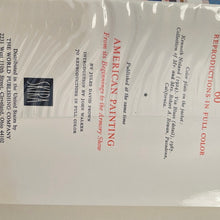 Load image into Gallery viewer, 1969 American Paintings The Twentieth Century Skira Hardcover (Pre-owned)
