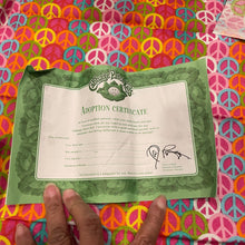Load image into Gallery viewer, Cabbage patch Kids Adoption Certificate