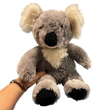 Load image into Gallery viewer, Build-A-Bear Grey Shaggy Koala Bear Plush (Pre-owned) Animal 17" BABW Workshop