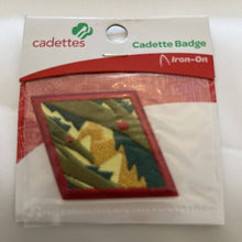 Load image into Gallery viewer, Girl Scout Cadette Badge &quot;TRAILBLAZING&quot; Patch Iron-on Applique
