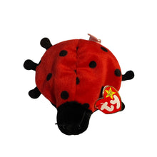 Load image into Gallery viewer, Ty Beanie Baby Lucky the Ladybug &amp; McDonald’s Teenie beanie #5 (Pre-owned)
