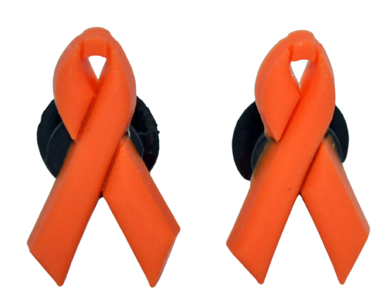 Kidney and Leukemia Cancer Awareness Ribbons will fit in Clog type shoes with holes Accessories (Set of 2)