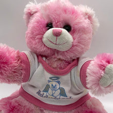 Load image into Gallery viewer, The Bear Factory 2001 Pink Teddy Bear with Angel t-shirt Plush Stuffed Animal (pre-owned)