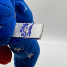 Load image into Gallery viewer, Limited Treasures Liberty USA Bear #4882/5000 8" Plush Bean Bear (pre-owned)