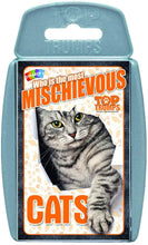Load image into Gallery viewer, Top Trumps Playing Cards Who is the Most Mischievous? Cats Strategy Game