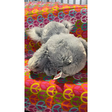 Load image into Gallery viewer, Webkinz Koala Bear HM113 No Code Plush
