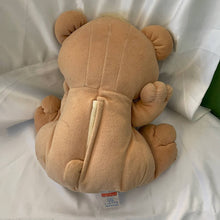 Load image into Gallery viewer, Fisher-Price Peaceful Planet Plush Bear Soothing Sounds Bear 10&quot; (Pre-owned)
