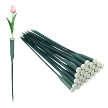 Load image into Gallery viewer, MECCANIXITY 160 Pcs Floral Water Tubes, 12 Inch Flower Water Tubes Floral Vials with Pick and Caps for Plants Stem Fresh Flowers Arrangement Decor Florist Supplies, Dark Green/Light Green Grey
