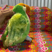 Load image into Gallery viewer, Webkinz Green and Yellow Parakeet HM354 No Code Stuffed Plush Animal Pet
