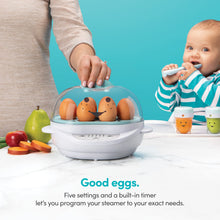 Load image into Gallery viewer, nutribullet Baby BSR-0801N Turbo Food Steamer
