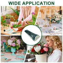 Load image into Gallery viewer, MECCANIXITY 160 Pcs Floral Water Tubes, 12 Inch Flower Water Tubes Floral Vials with Pick and Caps for Plants Stem Fresh Flowers Arrangement Decor Florist Supplies, Dark Green/Light Green Grey
