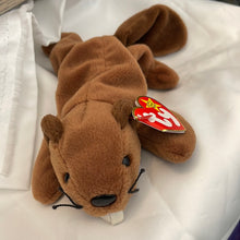 Load image into Gallery viewer, Ty Beanie Baby Bucky the Beaver
