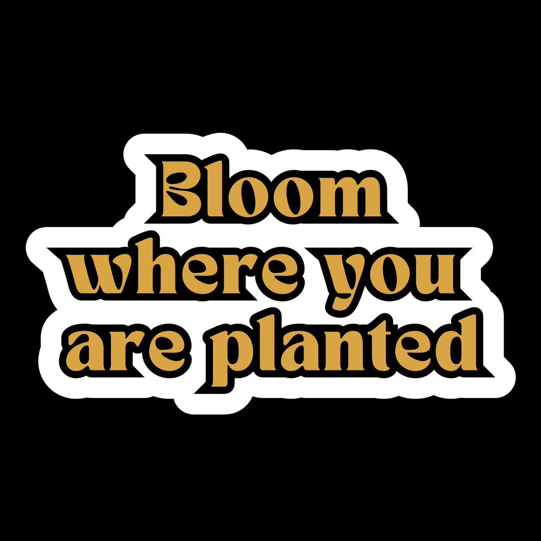 Bloom where you are planted Faith-Based 3