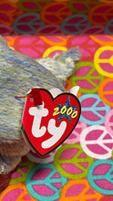 Load image into Gallery viewer, Ty Beanie Babies 2000 Birds Buzzy the Buzzard (Retired)
