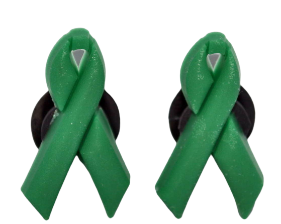 Liver and Eye Cancer Awareness Ribbons will fit in Clog type shoes with holes Accessories (Set of 2)