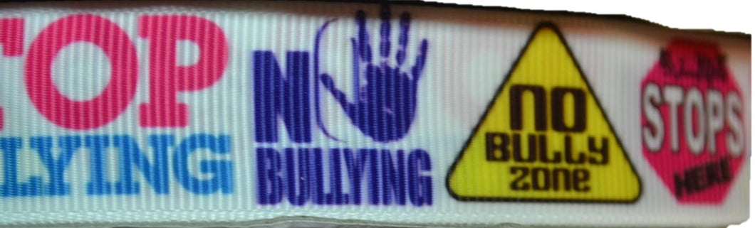 Stop End NO Bullying Zone 7/8