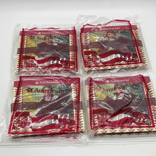 Load image into Gallery viewer, McDonald&#39;s 2009 Happy Meal American Girl Book Kaya (Set of 4)
