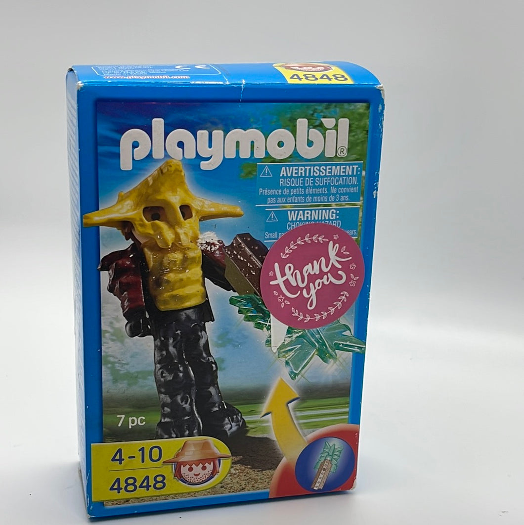 Playmobil 2009 Temple Guard with Green Sword #4848 Playset 7pcs