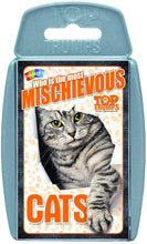 Load image into Gallery viewer, Top Trumps Playing Cards Who is the Most Mischievous? Cats Strategy Game
