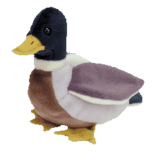 Load image into Gallery viewer, Ty Beanie Babies Jake The Mallard Duck Bird (Retired)
